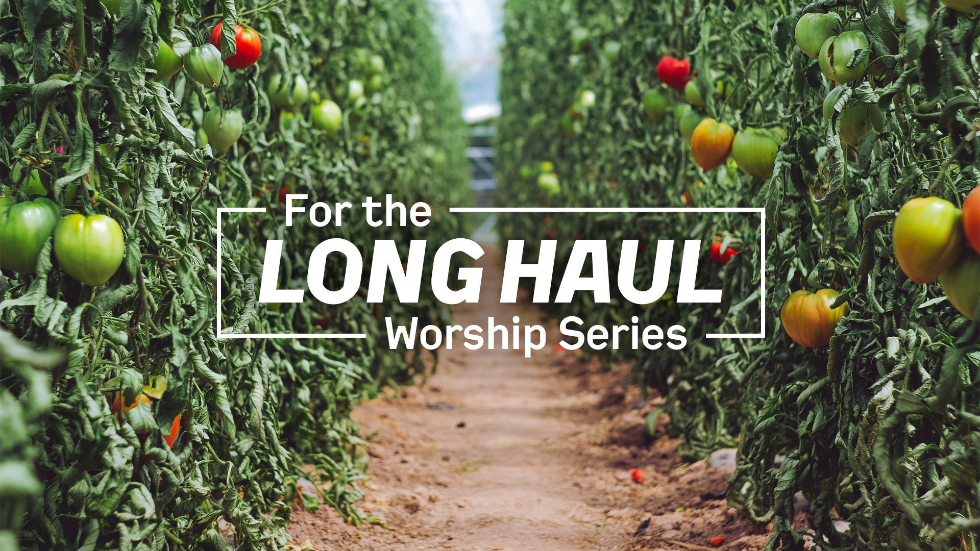 For the Long Haul Worship Series