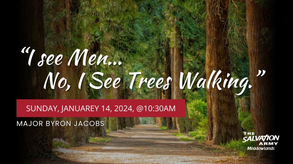 I see Men... No, I See Trees Walking. | January 14, 2024